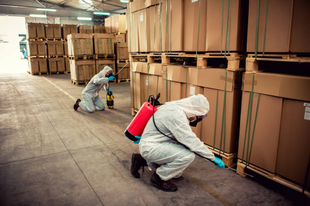 Best Affordable Pest Control Services  in Fairbury, IL