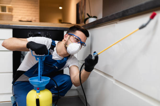 Best Affordable Pest Control Services  in Fairbury, IL