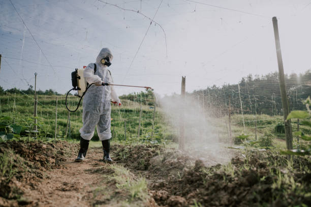 Best Mosquito Control Services  in Fairbury, IL
