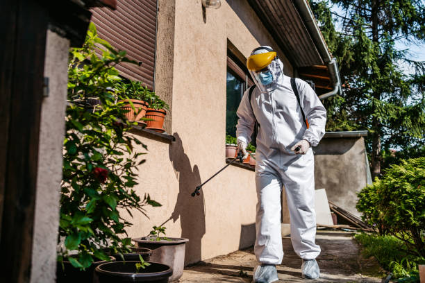 Best Exterminator Services  in Fairbury, IL