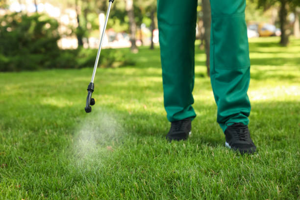 Best Pest Removal Services  in Fairbury, IL