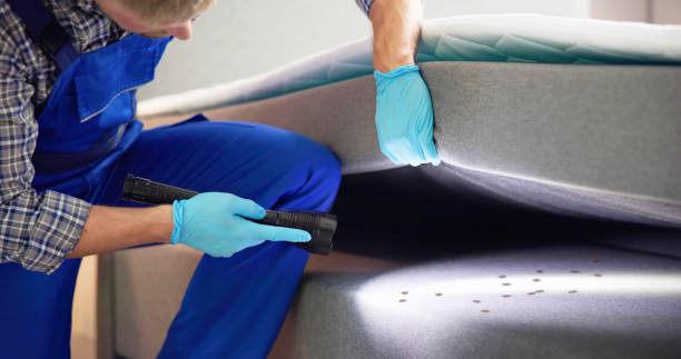 Best Best Pest Control Companies  in Fairbury, IL