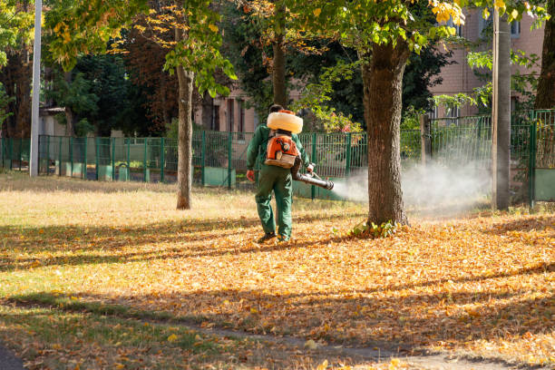 Best Cockroach Control Services  in Fairbury, IL