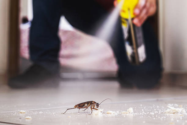 Best Insect Control  in Fairbury, IL