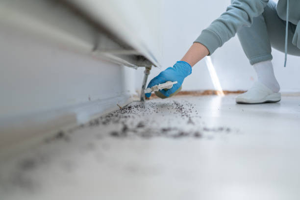 Best Pest Prevention Services  in Fairbury, IL