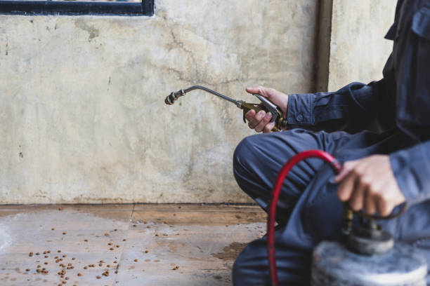 Best Flea Control Services  in Fairbury, IL