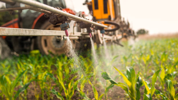 Best Ant Control Services  in Fairbury, IL