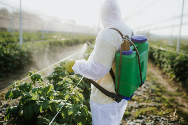 Best Bed Bug Extermination  in Fairbury, IL